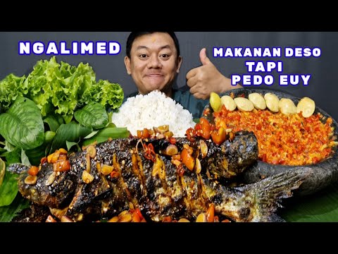 TERLALU NIKMAT ⁉️ MAKAN LALAPAN JENGKOL MENTAH IKAN PATIN BAKAR SAMBEL MANGGA LALAPAN MENTAH KENCUR