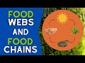Ecosystem Interactions and Food Chains