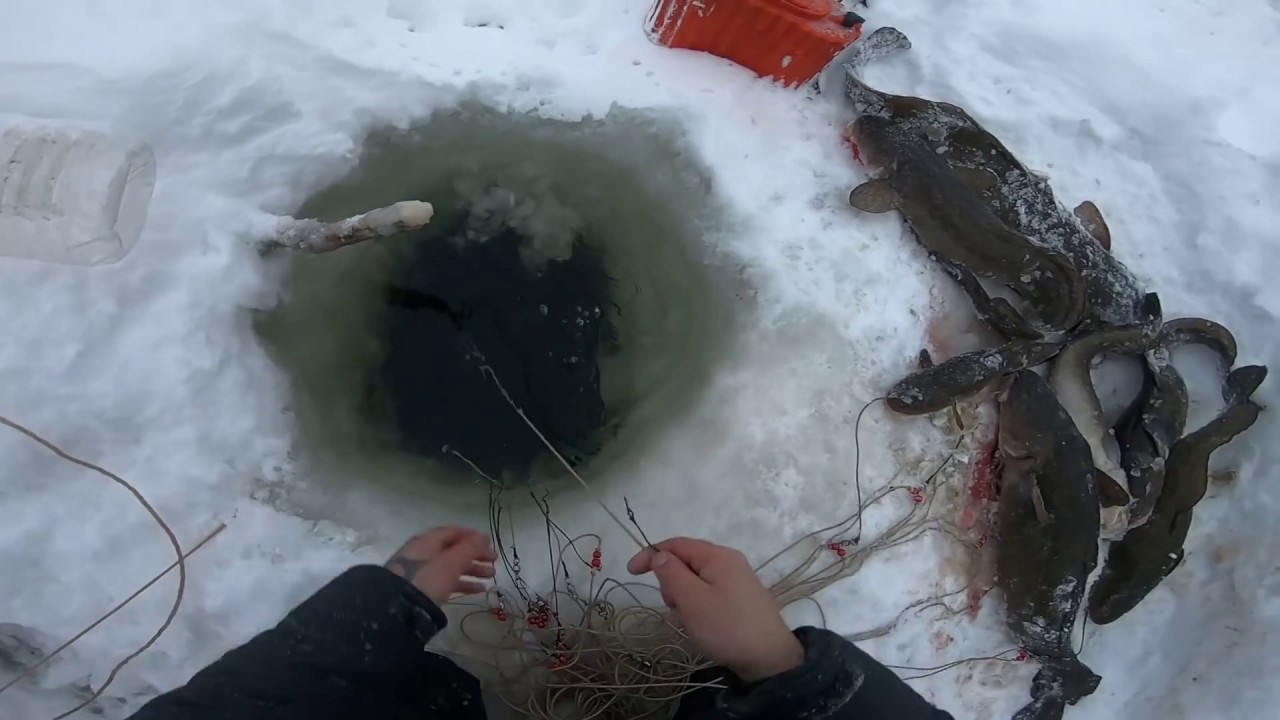 Рыбалка на Енисее 13. 12. 2019