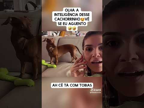 Tobias vai alô