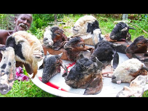 MUTTON HEAD EGG FRY RECIPE | TRADITIONAL VILLAGE FOOD | Village Grandpa