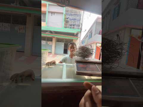 মাত্র 3 টাকায় ১ কেজি লোহা #reels #viralshort #comedy #shortsfeed #indian #indianmovie #funny #fun