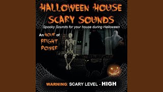 Journey Through The House Of Horrors