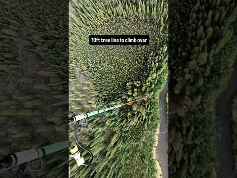 Aerial Firefighter Saves The Forest