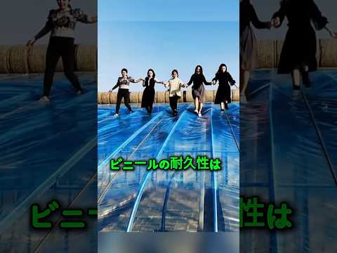 【驚き】力と技術の融合！ビニールハウス設置の舞台裏