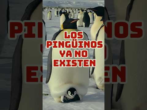 Los Pingüinos NO Existen mas #shorts