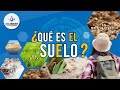 Características y Funciones del Suelo
