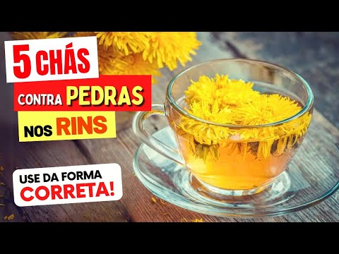 5 Melhores CHÁS contra PEDRA NOS RINS - Benefícios, Como Preparar e Como Tomar