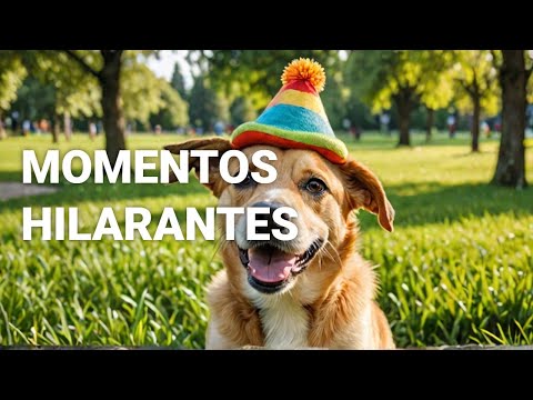 ¡Perros Graciosos que Te Harán Reír a Carcajadas!