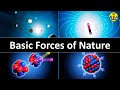 Fundamental Forces of Nature