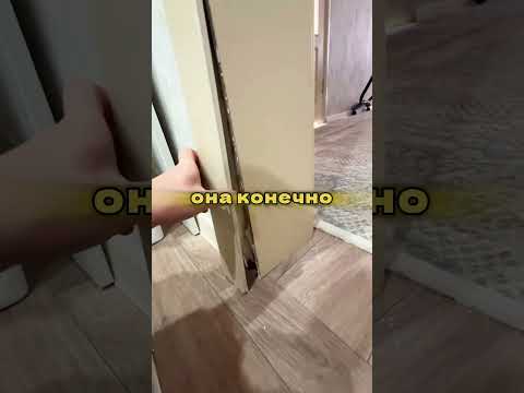 Мыши в доме