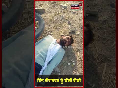 Encounter ਮੌਕੇ ਬੋਲ ਪਿਆ ਜ਼ਮੀਨ 'ਤੇ ਡਿੱਗਿਆ Gangster | Mohali Encounter | #shorts | N18S