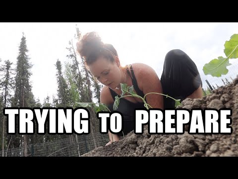 TRYING TO PREPARE | Somers In Alaska