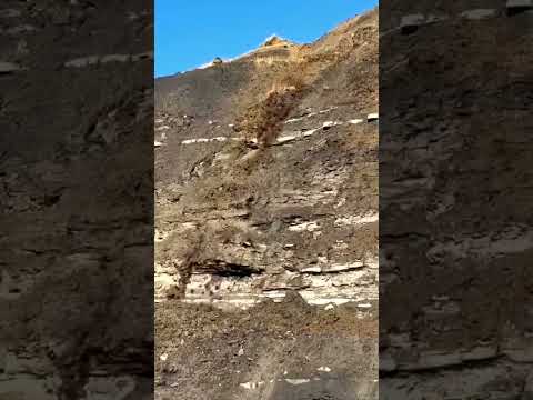 DAĞDA HEYELAN ÂNI