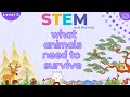 Animal Needs and Habitats