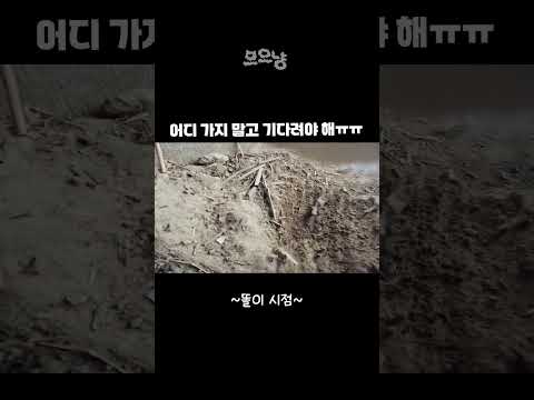 어디 가지 말고 기다려야 해 ㅠㅠ!