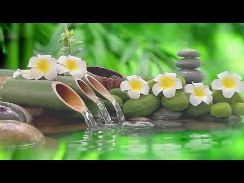 Soothing Piano Melodies Sleep Music Water Sounds Relaxing Music for Mind and Body Healing