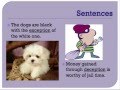 Exploring Latin Roots: Cept, Script, Tract