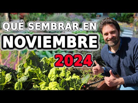 Calendario de Siembra 2024  Que sembrar en NOVIEMBRE  en el Huerto de Otoño y de Primavera