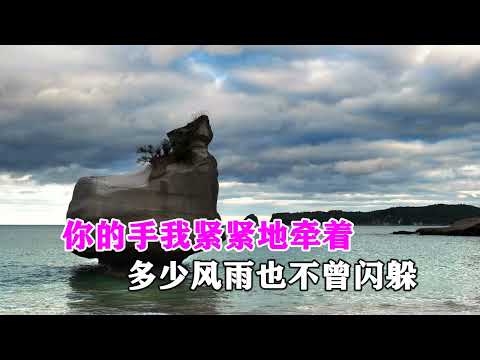 胡蜜丹   杏花落   MTV