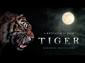 Understanding 'The Tyger' by William Blake