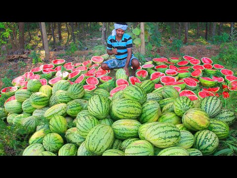 Find WATERMELON in the Village Land  Juice Drinking Delicious VILLAGE HUNTER