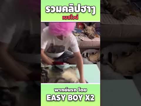 รวมคลิปฮา พากย์นรก #short #easyboy #คลิปฮา #เบสไวน์