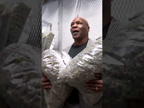 Mike Tyson кайфует на пенсии 🌿🕺🏾