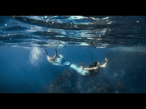 Discover a magical world beneath the surface in Aotearoa, New Zealand