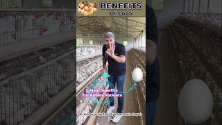 Eggs🥚: Nature’s Best Protein | Kidney-Friendly, Immunity Boosting Superfood for CKD Diet