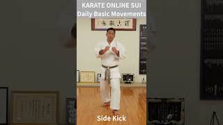 KARATE ONLINE SUI - Daily Basic Movements  Side Kick