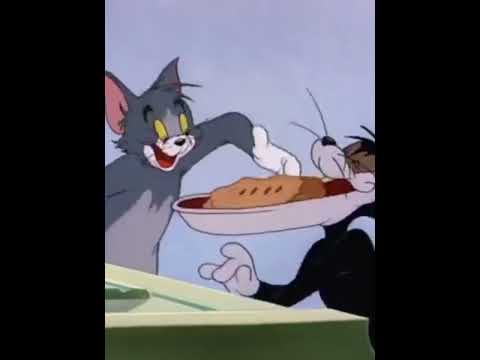 "Кошачья вечеринка" (переозвучка 1)