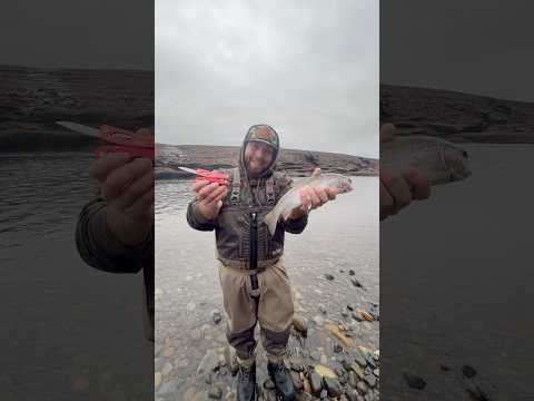 How to clean a fish