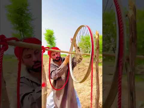 full video in profile