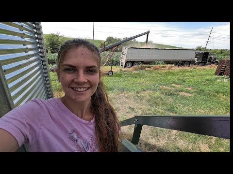 You Never Know How Plans Will Change On The Farm