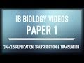 DNA Replication and Translation Concepts