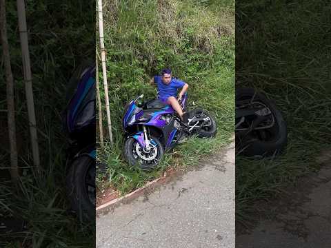VERDADEIRO GRAU MURCHO