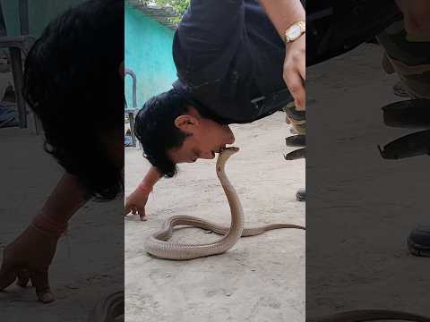 ๐ please subscribe๐ #snakevideo #shortfeed #ytshorts #youtubeshorts