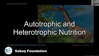 Autotrophic and Heterotrophic Nutrition