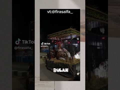 wuih gaes setannya dikurung #hantu #horor #ramadan