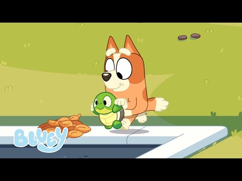 La chose faite | L'enfant tortue | Bluey Français Chaîne Officielle