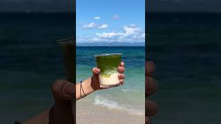 notifications off, matcha latte on