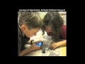 Analyzing Primary Sources and Inquiry Steps
