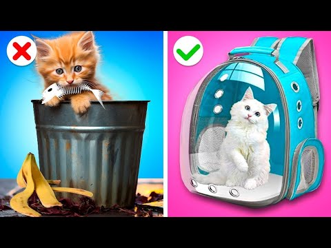 Esta Casa Arco-Íris É Para Um Gatinho? Pai Vs Padrasto || Ideias Fáceis DIY e Acessórios Épicos