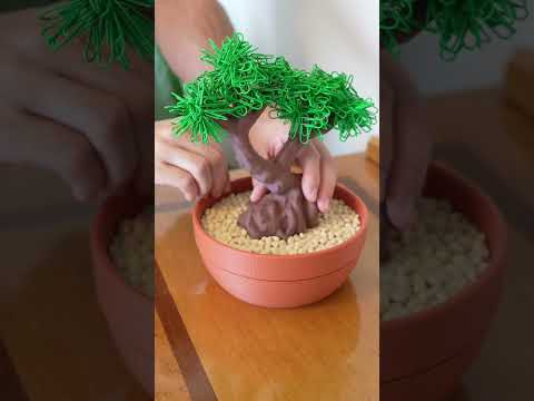 A Bonsai Tree that organizes your desk