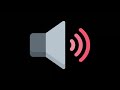 Understanding the Transcript