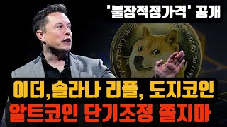 비트코인 이더리움 솔라나 리플 도지코인 불장 적정 가격 | 알트코인 단기적 조정은 기회!