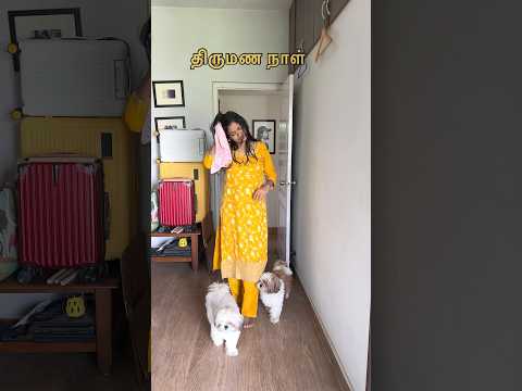5th Year Wedding Anniversary Mini Vlog #sowbaraniyaramesh #shortvideo #minivlog
