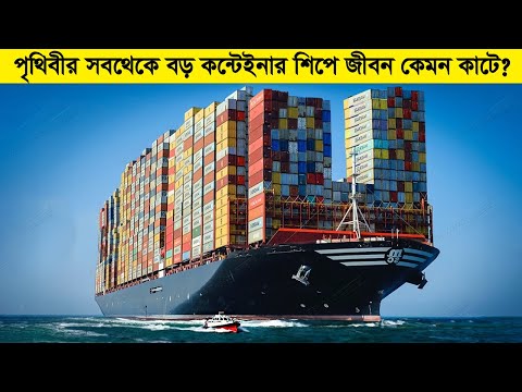 পৃথিবীর সবথেকে বড় কন্টেইনার শিপের মধ্যে জীবন কেমন কাটে ?