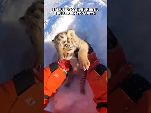 Phillies land All-Star closer Jhoan Duran ahead of MLB trade deadline #jhoanduran